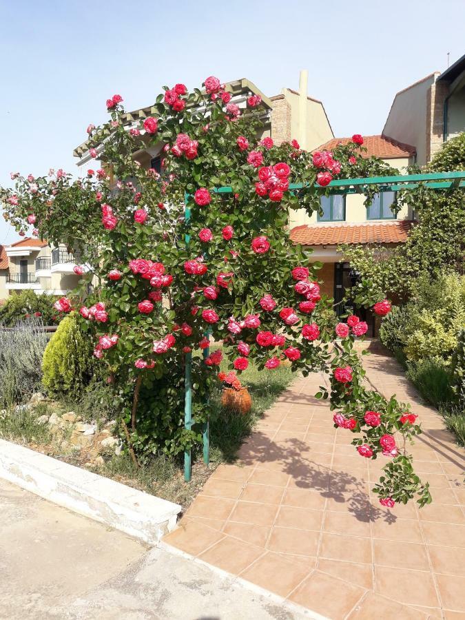 Cozy Apartment Fantastic View Nea Moudania Exterior foto